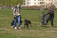 Dateiname=Berlin-Prenzlauer-Berg-Mauerpark-20050422-18.jpg
Dateigröße=220KB
Abmessungen: 880x586
hinzugefügt am: 04. Januar 2016 Berlin-Prenzlauer-Berg-Mauerpark-20050422-18.jpg