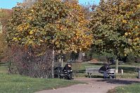 Dateiname=Berlin-Prenzlauer-Berg-Mauerpark-20051028-45.jpg
Dateigröße=388KB
Abmessungen: 880x586
hinzugefügt am: 04. Januar 2016 Berlin-Prenzlauer-Berg-Mauerpark-20051028-45.jpg
