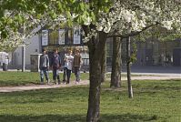 Dateiname=Berlin-Prenzlauer-Berg-Mauerpark-20070413-10.jpg
Dateigröße=278KB
Abmessungen: 880x591
hinzugefügt am: 04. Januar 2016 Berlin-Prenzlauer-Berg-Mauerpark-20070413-10.jpg