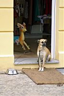 Dateiname=Berlin-Prenzlauer-Berg-Oderberger-20050422-40.jpg
Dateigröße=178KB
Abmessungen: 586x880
hinzugefügt am: 04. Januar 2016 Berlin-Prenzlauer-Berg-Oderberger-20050422-40.jpg