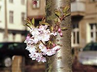Dateiname=Berlin-Prenzlauer-Berg-200211-30.jpg
Dateigröße=221KB
Abmessungen: 880x654
hinzugefügt am: 04. Januar 2016 Berlin-Prenzlauer-Berg-200211-30.jpg