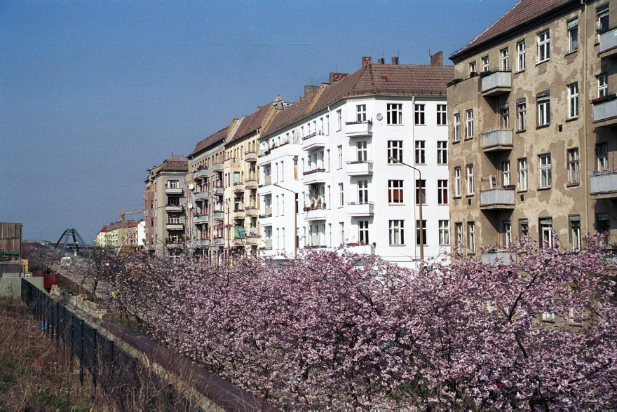 Berlin. Pankow. Prenzlauer Berg. Schwedterstraße. Abschnitt des Mauerparks. Die Bäume stehen in Blüte
28. März 2002. Berlin. Pankow. Prenzlauer Berg. Schwedter Straße. Abschnitt des Mauerparks. Die Bäume stehen in Blüte
Schlüsselwörter: Berlin;Deutschland;Germany;Pankow;Prenzlauer Berg;2002;Schwedter Straße