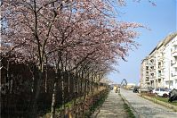 Dateiname=Berlin-Prenzlauer-Berg-Schwedter-200211-34.jpg
Dateigröße=361KB
Abmessungen: 880x583
hinzugefügt am: 04. Januar 2016 Berlin-Prenzlauer-Berg-Schwedter-200211-34.jpg
