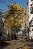 Dateiname=Berlin-Prenzlauer-Berg-Schwedter-20051028-63.jpg
Dateigröße=368KB
Abmessungen: 586x880
hinzugefügt am: 04. Januar 2016 Berlin-Prenzlauer-Berg-Schwedter-20051028-63.jpg