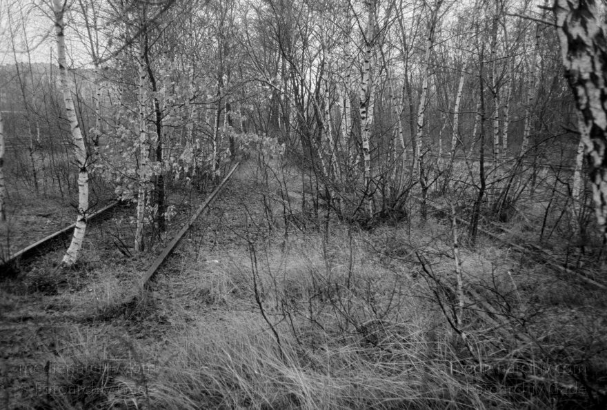 Berlin. Schöneberg. Yorckbrücken
1989. Berlin. Schöneberg. Yorckbrücken
Schlüsselwörter: Berlin;Eisenbahn;Germany;Gleise;Schienen;Schöneberg;1989;Yorckbrücken