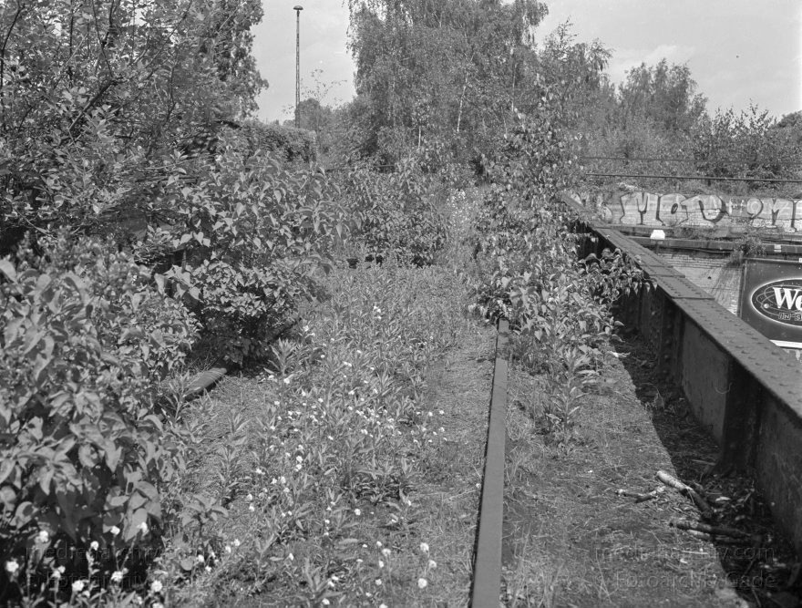Berlin. Schöneberg. Yorckbrückengelände. Gleise. Eisenbahn
Juli 1993. Deutschland. Berlin. Schöneberg. Yorckbrückengelände. Gleise. Eisenbahn
Schlüsselwörter: Berlin;Deutschland;Eisenbahn;Gelände;Germany;Gleise;Schöneberg;1993;Yorckbrücken