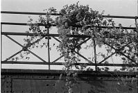 Berlin-Schoeneberg-Yorckbruecken-198811-127.jpg