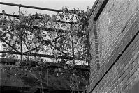 Berlin-Schoeneberg-Yorckbruecken-198811-128.jpg
