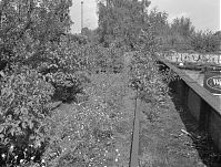 Dateiname=Berlin-Schoeneberg-Yorckbruecken-199307-105.jpg
Dateigröße=351KB
Abmessungen: 880x667
hinzugefügt am: 04. Januar 2016 Berlin-Schoeneberg-Yorckbruecken-199307-105.jpg