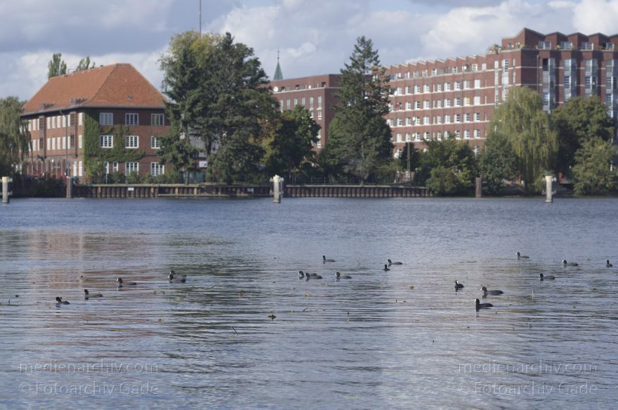 Berlin. Spandau. Havel. Obere Havel.
30. 9. 2012. Berlin. Spandau. Fluss Havel. Obere Havel.
Schlüsselwörter: Berlin;Deutschland;Fluss;Germany;Hakenfelde;Havel;Obere Havel;2012;Spandau
