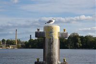 Dateiname=Berlin-Spandau-Havel-obere-20120923-303.jpg
Dateigröße=132KB
Abmessungen: 880x584
hinzugefügt am: 04. Januar 2016 Berlin-Spandau-Havel-obere-20120923-303.jpg
