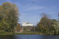 Berlin-Spandau-Havel-obere-Eiswerder-20131022-210.jpg