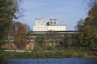 Berlin-Spandau-Havel-obere-Eiswerder-20131022-211.jpg