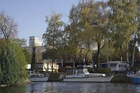 Berlin-Spandau-Havel-obere-Eiswerder-20131022-216.jpg