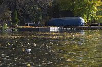 Dateiname=Berlin-Spandau-Havel-obere-Eiswerder-20131022-220.jpg
Dateigröße=284KB
Abmessungen: 880x584
hinzugefügt am: 04. Januar 2016 Berlin-Spandau-Havel-obere-Eiswerder-20131022-220.jpg