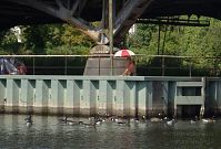 Dateiname=Berlin-Spandau-Havel-untere-20120820-270.jpg
Dateigröße=225KB
Abmessungen: 880x595
hinzugefügt am: 04. Januar 2016 Berlin-Spandau-Havel-untere-20120820-270.jpg