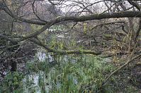 Dateiname=Berlin-Spandau-Klein-Venedig-20111105-027.jpg
Dateigröße=401KB
Abmessungen: 880x584
hinzugefügt am: 04. Januar 2016 Berlin-Spandau-Klein-Venedig-20111105-027.jpg