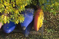 Berlin-Spandau-Klein-Venedig-20111105-061.jpg