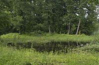 Berlin-Spandau-Klein-Venedig-20130630-213.jpg