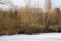 Dateiname=Berlin-Tegel-Flughafensee-20060305-30.jpg
Dateigröße=320KB
Abmessungen: 880x586
hinzugefügt am: 04. Januar 2016 Berlin-Tegel-Flughafensee-20060305-30.jpg