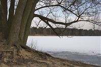 Dateiname=Berlin-Tegel-Flughafensee-20060305-47.jpg
Dateigröße=265KB
Abmessungen: 880x586
hinzugefügt am: 04. Januar 2016 Berlin-Tegel-Flughafensee-20060305-47.jpg