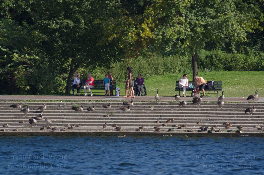 Berlin. Tegel. Tegeler See
25. 8. 2012. Berlin. Tegel. Tegeler See
Schlüsselwörter: Berlin;Deutschland;Germany;Tegel;2012;Tegeler See