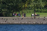 Berlin-Tegeler-See-20120825-175.jpg