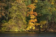 Dateiname=Berlin-Tegeler-See-Scharfenberg-20131022-059.jpg
Dateigröße=375KB
Abmessungen: 880x584
hinzugefügt am: 04. Januar 2016 Berlin-Tegeler-See-Scharfenberg-20131022-059.jpg