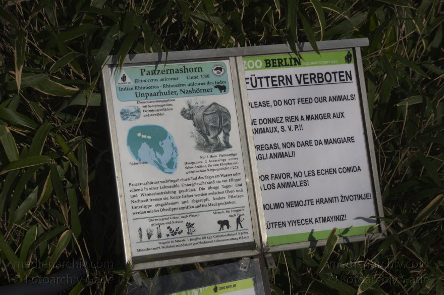 Zoologischer Garten Berlin. Tiere
7. 2. 2014. Berlin. Tiergarten. Zoologischer Garten Berlin. Tiere
Schlüsselwörter: Berlin;Tiere;Tiergarten;2014;Zoologischer Garten Berlin