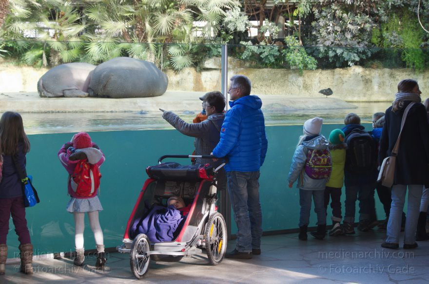 Zoologischer Garten Berlin. Tiere
7. 2. 2014. Berlin. Tiergarten. Zoologischer Garten Berlin. Tiere
Schlüsselwörter: Berlin;Tiere;Tiergarten;2014;Zoologischer Garten Berlin