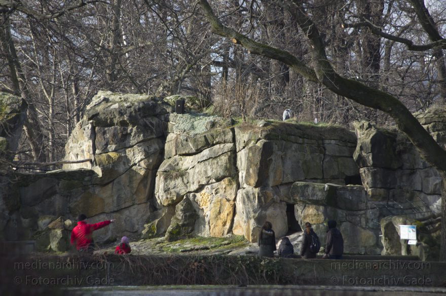 Zoologischer Garten Berlin. Tiere
7. 2. 2014. Berlin. Tiergarten. Zoologischer Garten Berlin. Tiere
Schlüsselwörter: Berlin;Tiere;Tiergarten;2014;Zoologischer Garten Berlin