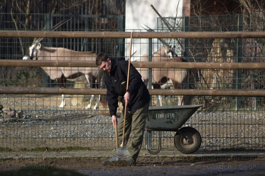 Zoologischer Garten Berlin. Tiere
7. 2. 2014. Berlin. Tiergarten. Zoologischer Garten Berlin. Tiere
Schlüsselwörter: Berlin;Tiere;Tiergarten;2014;Zoologischer Garten Berlin