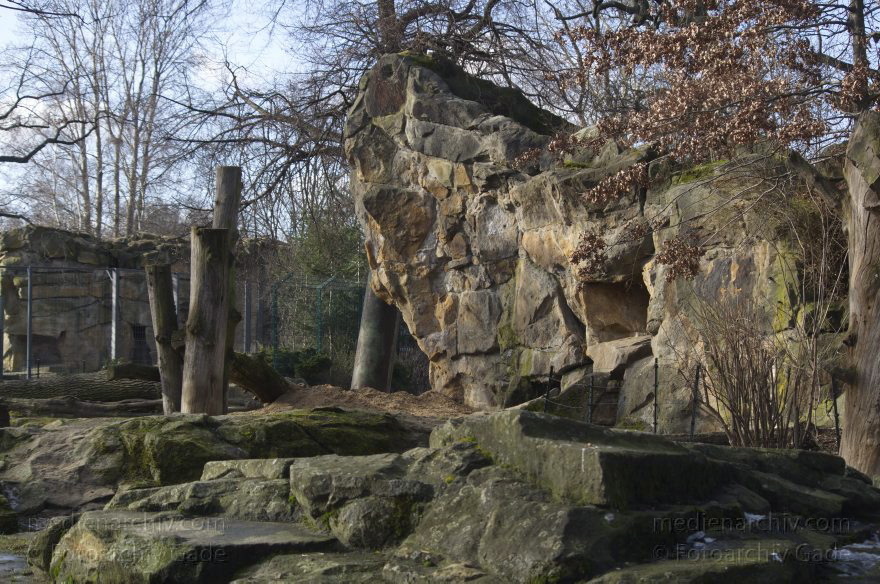Zoologischer Garten Berlin. Tiere
7. 2. 2014. Berlin. Tiergarten. Zoologischer Garten Berlin. Tiere
Schlüsselwörter: Berlin;Tiere;Tiergarten;2014;Zoologischer Garten Berlin