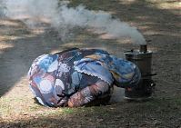 Berlin-Mitte-Tiergarten-Park-20090503-22.jpg