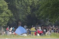 Berlin-Mitte-Tiergarten-Park-20100606-24.jpg