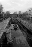 Dateiname=Berlin-Mitte-Tiergarten-Park-199501-11.jpg
Dateigröße=179KB
Abmessungen: 590x880
hinzugefügt am: 04. Januar 2016 Berlin-Mitte-Tiergarten-Park-199501-11.jpg