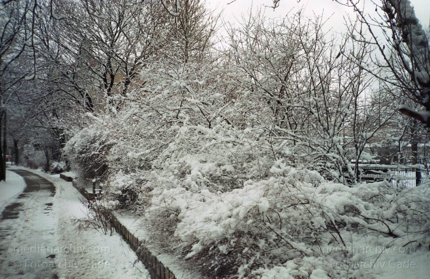 Berlin. Wedding. Winter. Schnee. Verschneites Nordufer.
Dezember 1998. Berlin. Wedding. Winter. Schnee. Verschneites Nordufer.
Schlüsselwörter: Berlin;Deutschland;Germany;Mitte;Nordufer;Schnee;verschneit;Wedding;1998;Winter