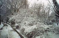 Dateiname=Berlin-Wedding-Nordufer-199812-10.jpg
Dateigröße=358KB
Abmessungen: 880x571
hinzugefügt am: 04. Januar 2016 Berlin-Wedding-Nordufer-199812-10.jpg
