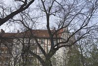 Dateiname=Berlin-Wedding-Nordufer-20070330-16.jpg
Dateigröße=432KB
Abmessungen: 880x591
hinzugefügt am: 04. Januar 2016 Berlin-Wedding-Nordufer-20070330-16.jpg