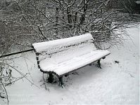 Dateiname=Berlin-Wedding-Nordufer-20091230-29.jpg
Dateigröße=325KB
Abmessungen: 880x661
hinzugefügt am: 04. Januar 2016 Berlin-Wedding-Nordufer-20091230-29.jpg