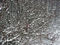 Dateiname=Berlin-Wedding-Nordufer-20091230-55.jpg
Dateigröße=559KB
Abmessungen: 880x661
hinzugefügt am: 04. Januar 2016 Berlin-Wedding-Nordufer-20091230-55.jpg