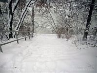 Berlin-Wedding-Nordufer-20100110-10.jpg