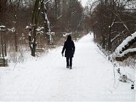 Berlin-Wedding-Nordufer-20100110-11.jpg
