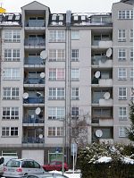 Berlin-Wedding-Nordufer-20100215-98.jpg