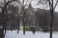 Berlin-Wedding-Nordufer-20140130-044.jpg