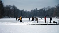 Berlin-Wedding-Rehberge-Ploetzensee-200301-28.jpg