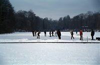 Berlin-Wedding-Rehberge-Ploetzensee-200301-31.jpg