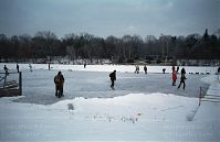 Berlin-Wedding-Rehberge-Ploetzensee-200301-33.jpg