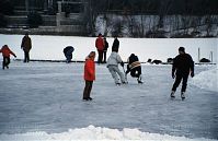 Berlin-Wedding-Rehberge-Ploetzensee-200301-35.jpg