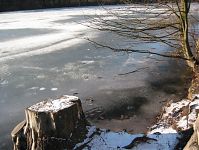 Dateiname=Berlin-Wedding-Rehberge-Ploetzensee-20030104-04.jpg
Dateigröße=279KB
Abmessungen: 880x661
hinzugefügt am: 04. Januar 2016 Berlin-Wedding-Rehberge-Ploetzensee-20030104-04.jpg